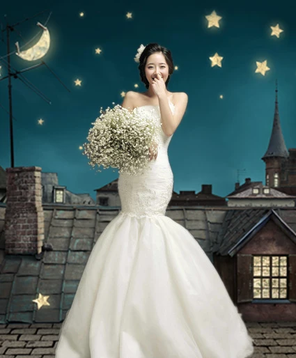 Night Sky Star Brick Roof Photo Backgrounds for Photo Studio Computer Printed Photography Backdrop for Wedding Children CM-5393