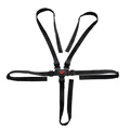 Correa universal B