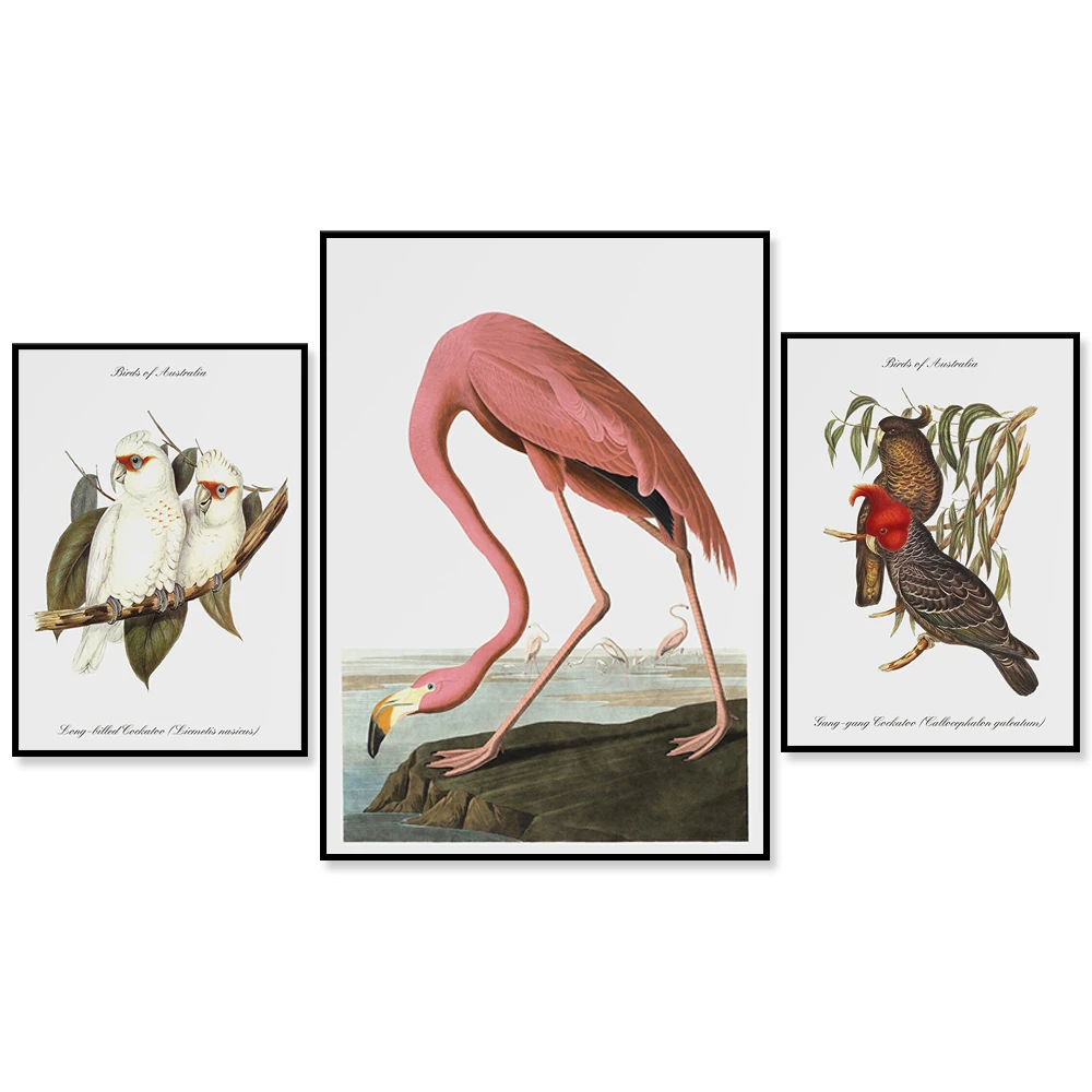 Vintage Bird Illustration Wall Art Print Instant Download Minimalism Pigeon Poster