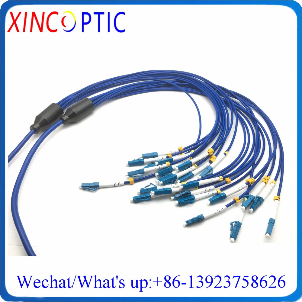 

30Mtr 12Cores Singlemode CRIP FTTA 12C LC-ST/FC/ST/SC SM PVC Blue Jacket 12F 30M Armored Fiber Optic Patch Cord Cable Connector