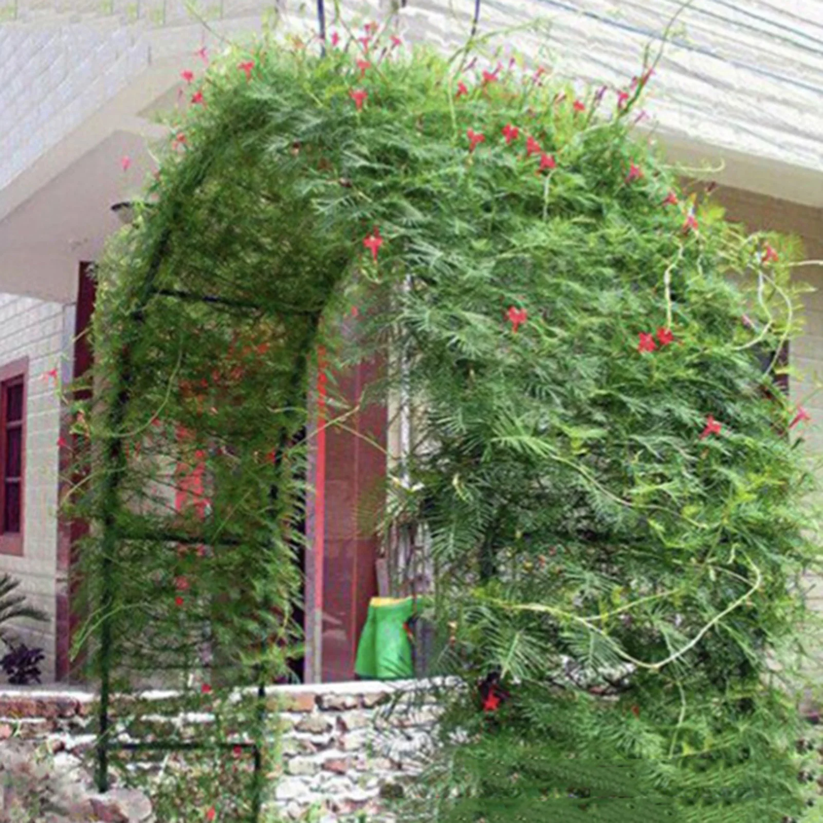 Wedding Arch Plants Stand for Greenhouse Plant Support Metal Garden Frame Flowers Arches Frame Vegetables Climbing Pergola