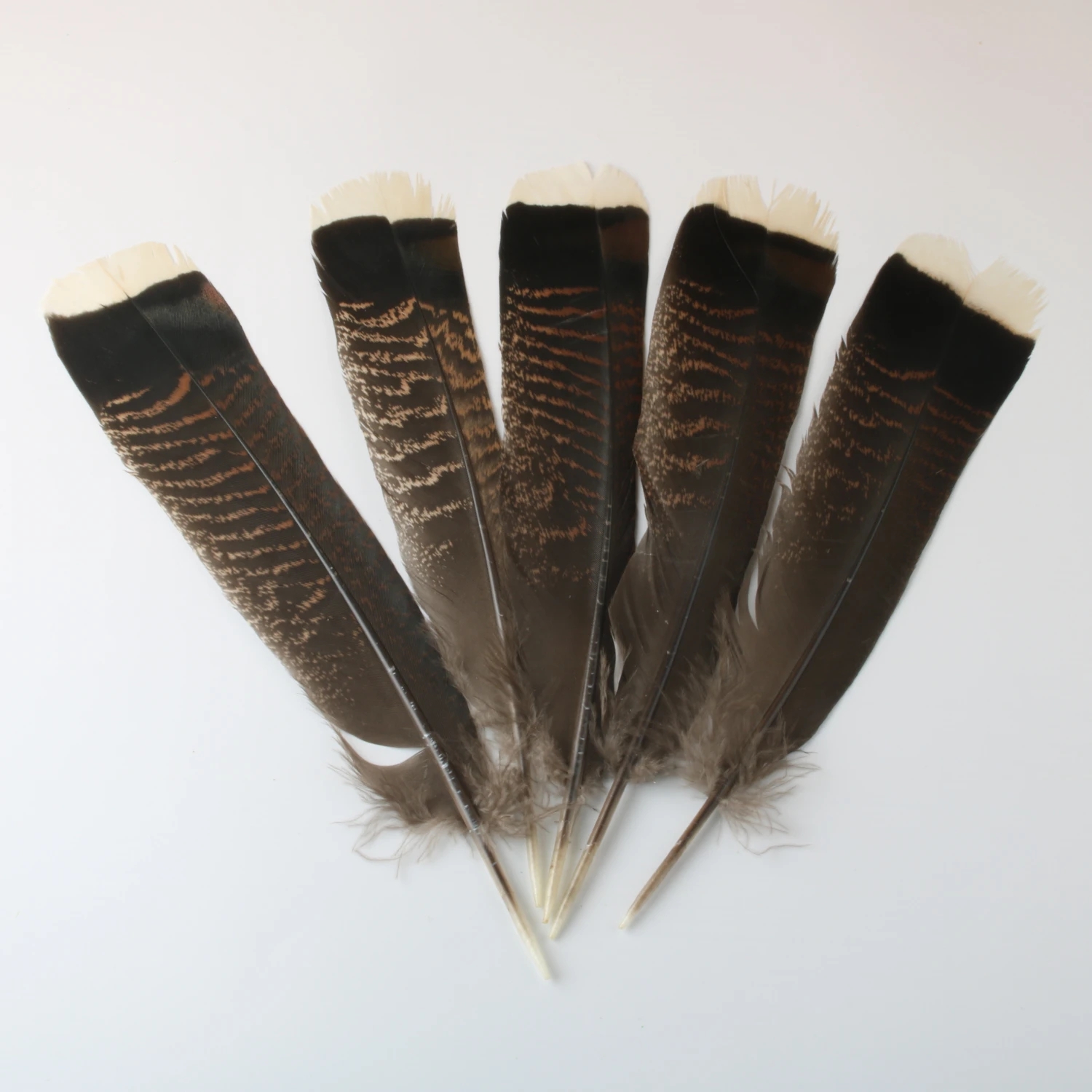 50 Pcs Natural Eagle Bird Feathers For Crafts 25-30cm/10-12inch Selected Prime Quality Eagle Feathers Diy Jewelry Decoration