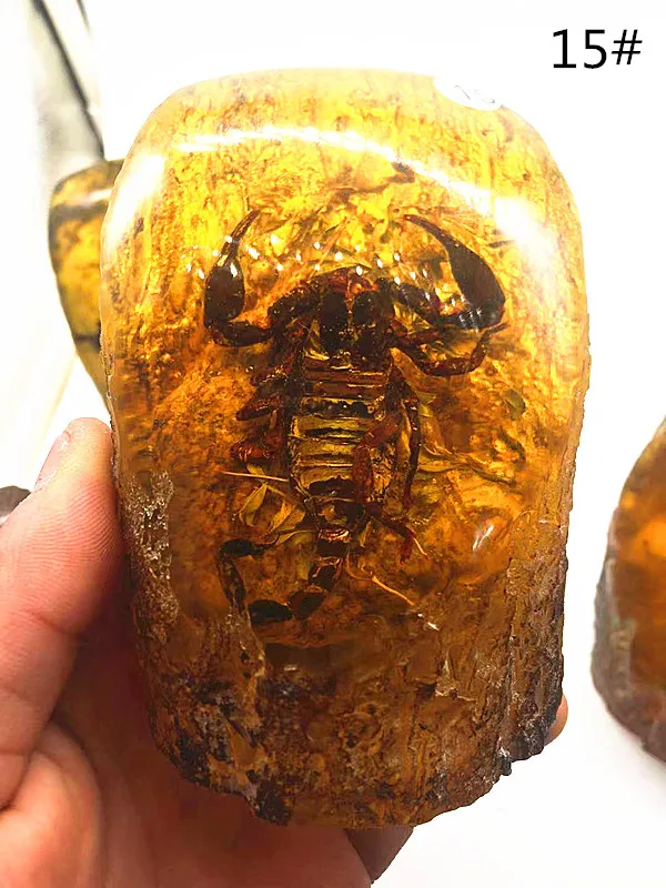 Amber beeswax stone insect Po ornaments really scorpion specimens crafts sitting room ornaments wholesale