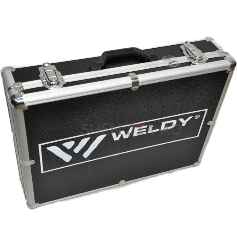 220V Extruded Plastic Welding Gun EX2/EX3 Extrusion Hand-Held Plastic Extruder Gun Electric Welding Torch 3000W Convenient