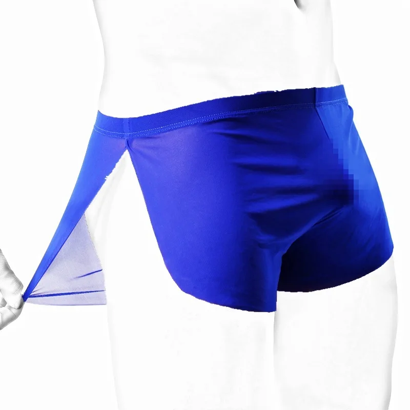Funny Underwear Men Boxer shorts Transparent Net Mesh boxers Underwear Bulge Underpants low Waist boxers Sexy Lingerie Gift