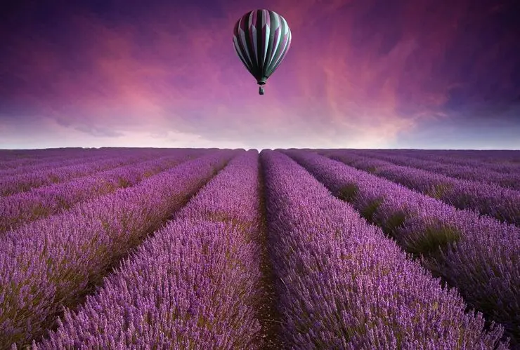 

Hot air balloon lavender field The wooden puzzle 1000 pieces ersion paper jigsaw puzzle adult children's educational toys