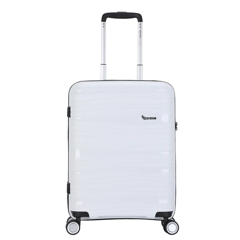 19/24 Inch Travelling Luggage Suitcase for Men Travel Bag with Wheels Hard Case Suitcase Spinner Wheels Carry-on Luggage Case