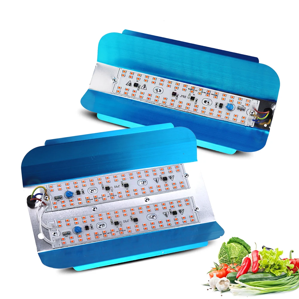 LED Grow Light Full Spectrum 100W  Phyto Flood Lights Outdoor LED Growing  phytolamp for vegetable flower seedlings