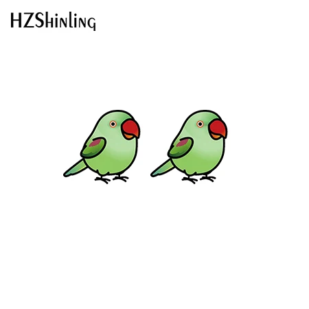 2021 Chubby Alexandrine Ringneck Parakeet Pattern Earrings Cute Cartoon Birds Acrylic Earrings Resin Epoxy