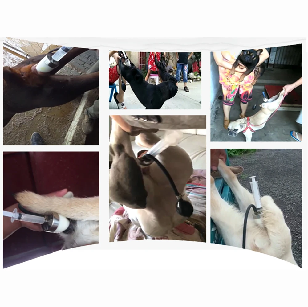Cane Artificiale Insemina Siringa Imitazione Naturale di Accoppiamento Inseminazione Artificiale In Silicone Inseminating Siringa Cane Infusione Strumento