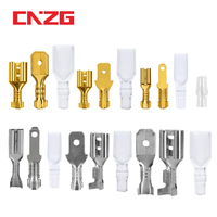 100Pcs 2.8mm 4.8mm 6.3mm Plug Spring Female Male Spade Cold Crimp Terminals Connector Car Speaker Electrical Wire Connectors Set