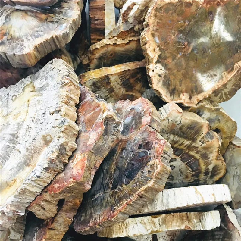 70-1.3kg Natural Madagascar petrified wood crystal polish for furnishing pieces for healing home decor