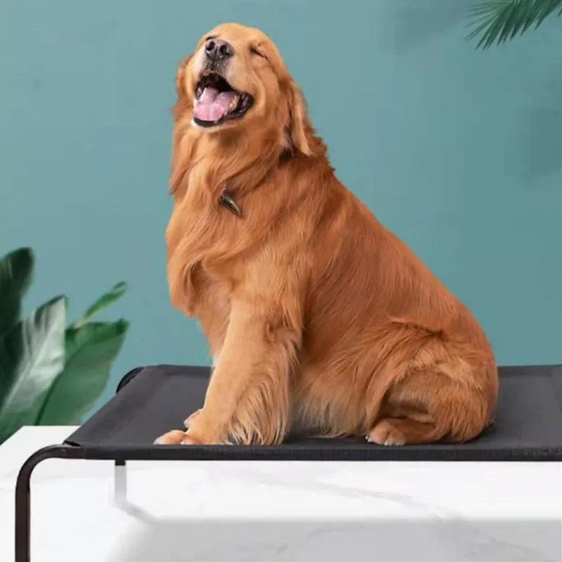 Dog Beds Hanging Ground Dog Beds for Large Dogs Anti-moisture Breathable Bed for Dogs Sleeping Kennel Sofa Bed Pet Birthday Gift