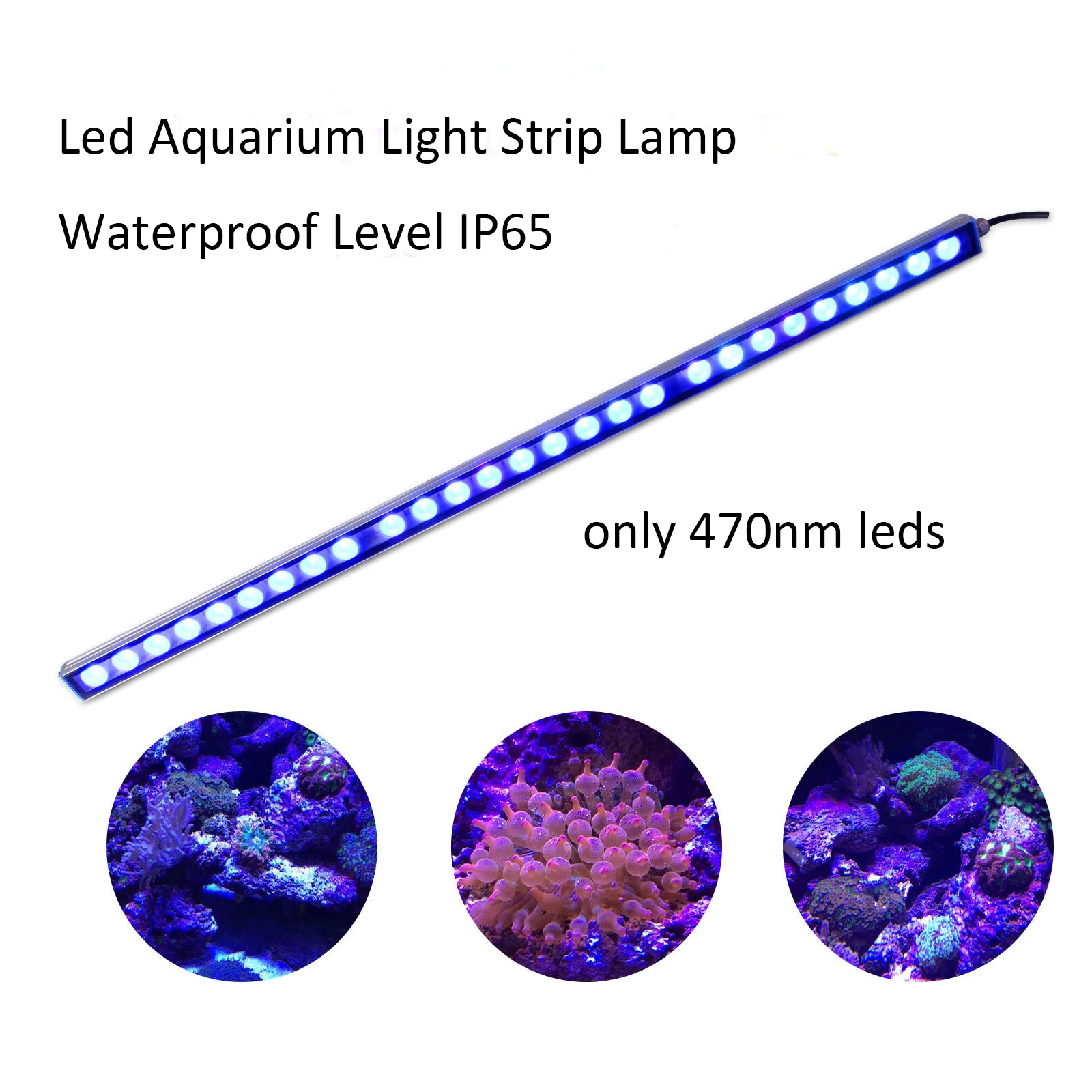 Imagem -02 - Led Barra de Luz Ip65 à Prova Dip65 Água Led Aquário Luz Tira Recife Coral Planta Tanque Peixes Lâmpada Crescimento Iluminação Estufa 54w 81 108