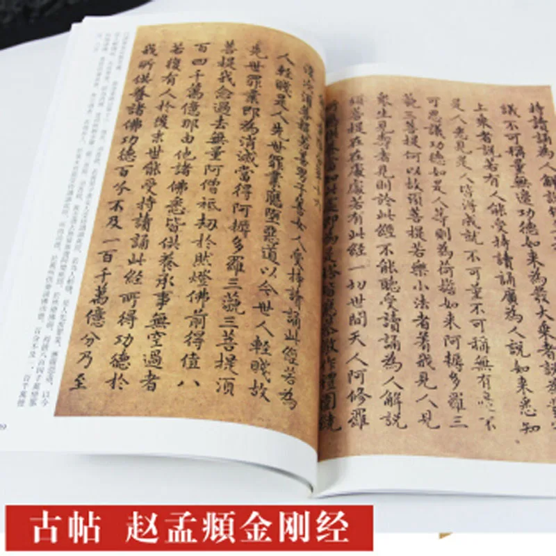 Zhao Mengfu Tao Te Ching Daodejing - Chinese Calligraphy Copybook student beginner Simple Regular Script copybook