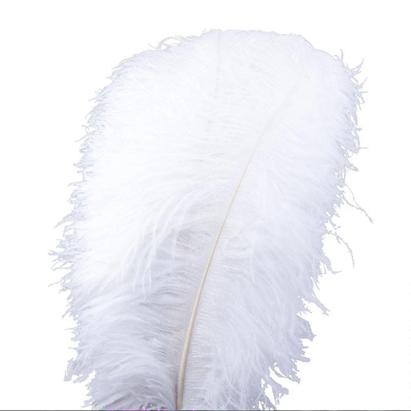 15-70cm Wholesale Elegant White Ostrich Feathers DIY Wedding Home Decoration Natural Plumes Carnival Dancer Centerpiece feathers