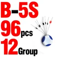 B 5S