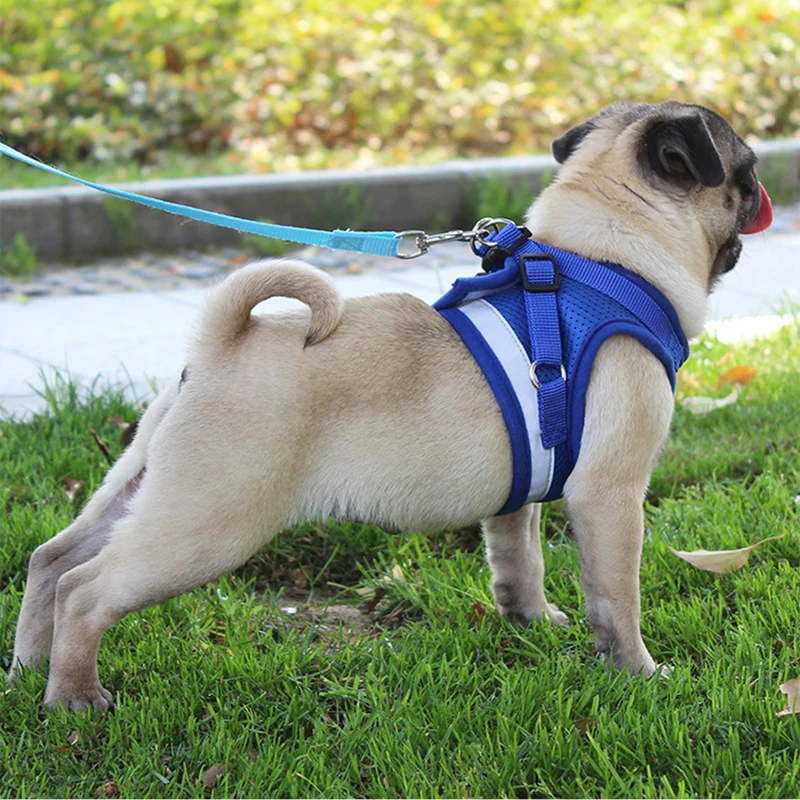 Mesh Dog Harness Leash Set for Small Pet Dogs Puppy Pug Bulldog Pulling Rope Breathable Vest Collar Cat Accessories Training