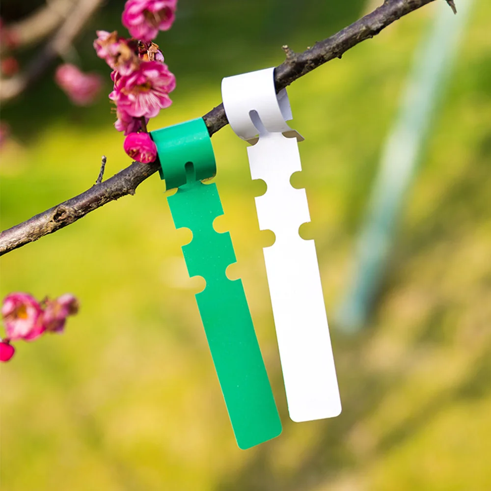 6 Colors Gardening Planting Clip-on Tags Nursery Hang Label Plastic Identification Card Waterproof Ring Set Markers Reusable