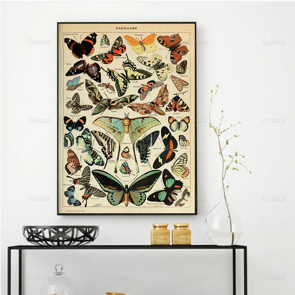 Adolphe Millot Butterflies Print, Vintage Papillons, Modern Art, Home Decor, Gift Idea - Wall Art Poster Print -Canvas Painting