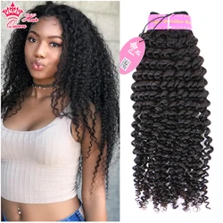 Queen Hair Official Store Brazilian Human Hair Kinky Curly Wave Natural Color Virgin Human Raw Hair Bundle Hair Weft Can be Dyed