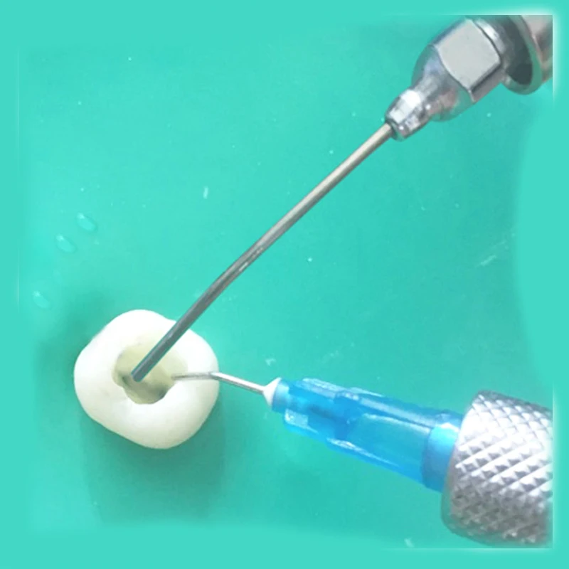 Dental Suction Endo Irrigation Dental Aspirator Screw type Surgical Root Canal Irrigation Saliva Ejectors 1Set