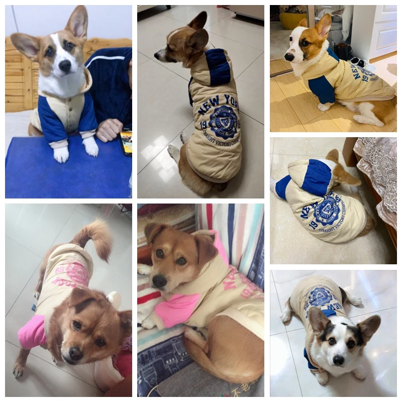 Sporty Winter Warm Pet Hoodie Dog Coat For Large Dogs And Small Medium Animal Two Legs Cat Coats Jackets French Bulldog Goods