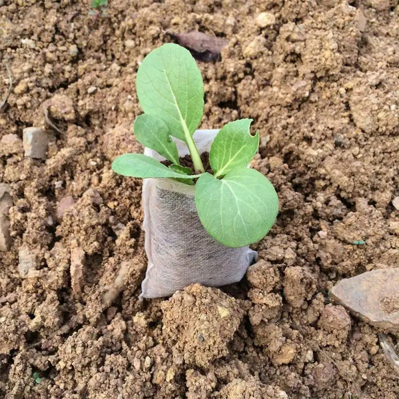 100/200PC biodegradabile tessuto Non tessuto vivaio pianta coltiva borse piantina coltiva fioriera vasi da fiori Eco Bag