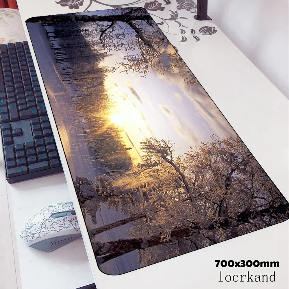 Winter Earth mousepad best seller gaming mouse pad pc computer 800x300x3mm gamer accessories mat laptop desk protector pads