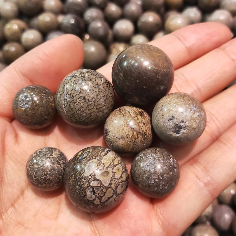 10 pcs Natural dinosaur bone quartz balls crystal ball gemstone sphere home decor healing