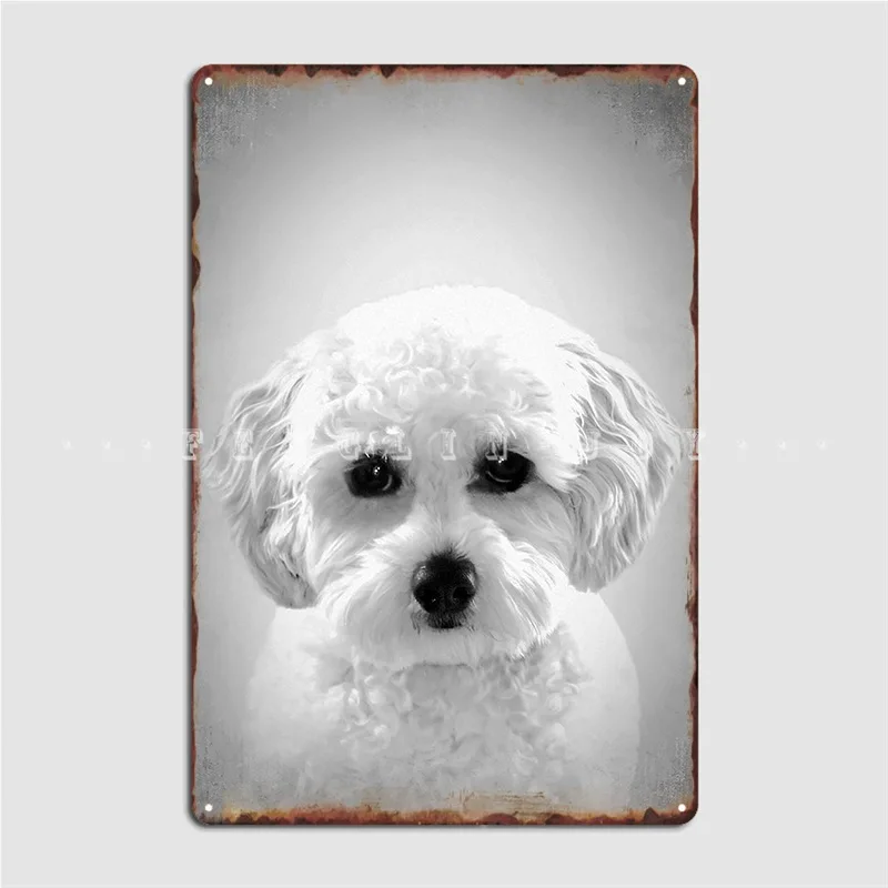 Cartel de hojalata con estampado de perro caniche maltés Bw Vintage D14, placas de letrero de Metal, Pub, Club, Bar