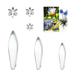 Agapanthus fondant sugar flower cutters baking cake decorations Polymer Clay Cold Porcelain gumpaste tools