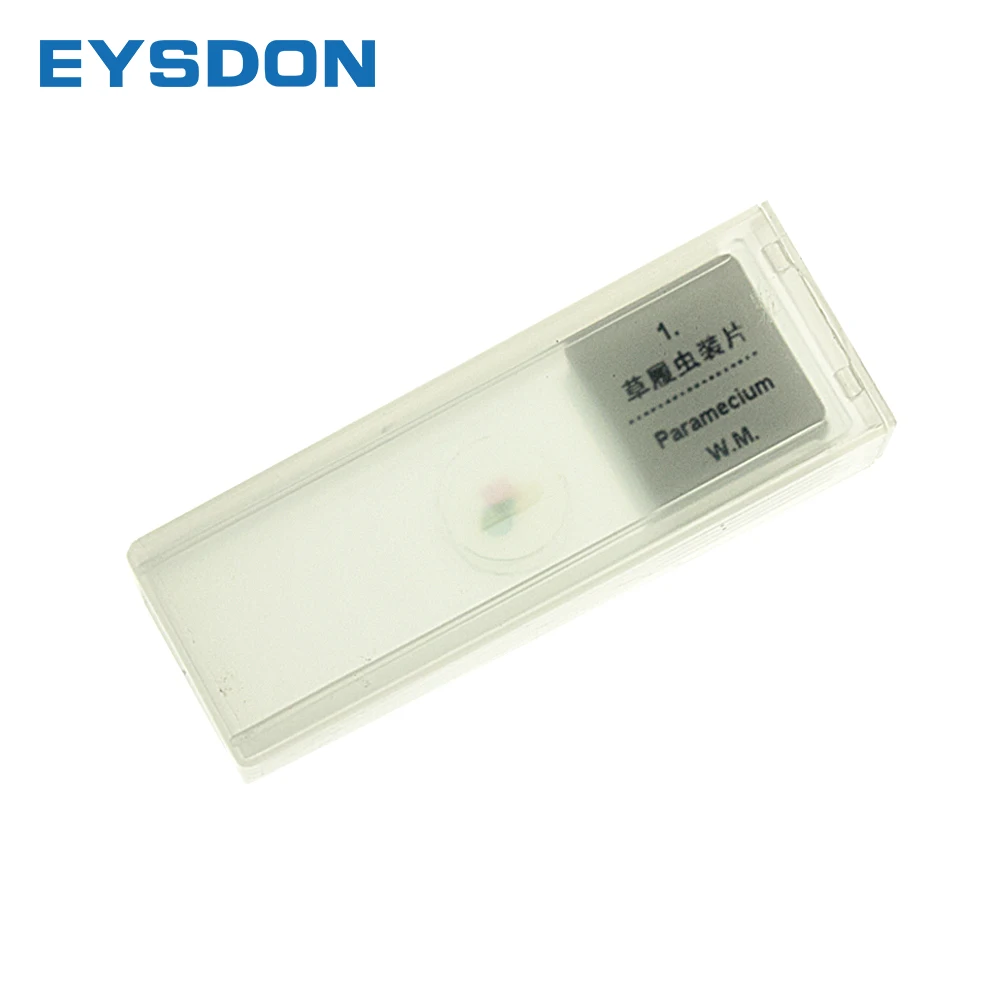 EYSDON 5 PCS Prepared Microscope Glass Slides Biological Sliced for Enlightenment Education for Students' Scientific Exploration