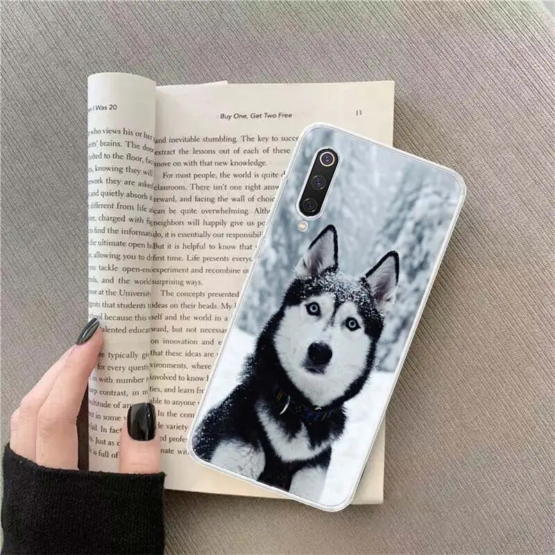 Siberian Husky Sled Dog Phone Case For Xiaomi Redmi Note 13 Pro Plus 5G Capa 12 12C 9 9T 9C 10 10C 8 7 6 10A 9A K70 K60 Pro 8A 7