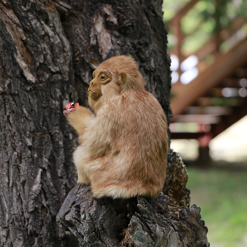 Realista sentado macaco simulação animais modelos de pelúcia crianças brinquedo casa loja decoração foto adereços presentes criativos