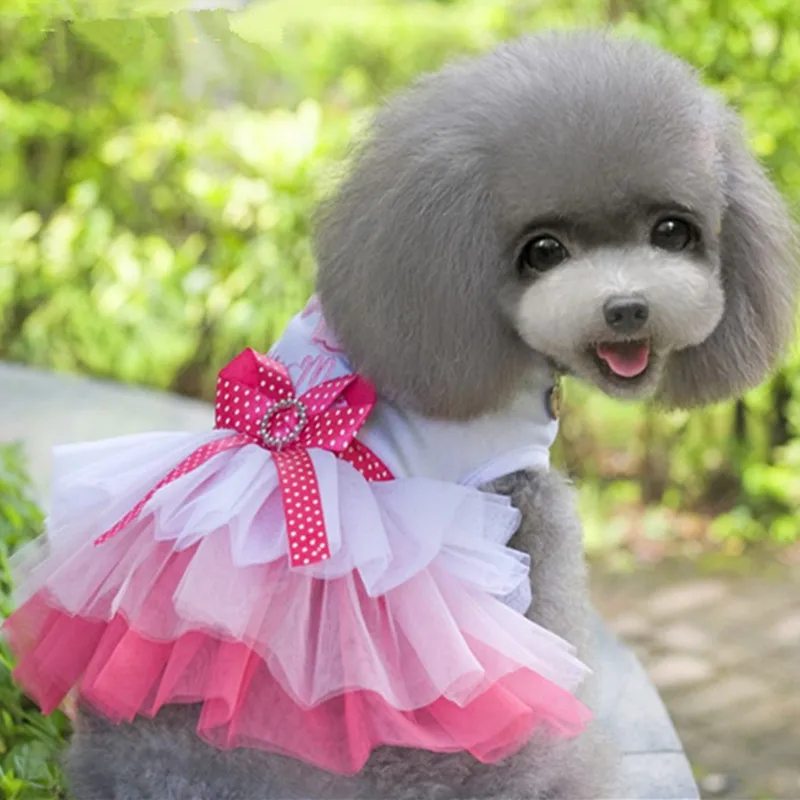 Anjing Merah Muda Pakaian Sweety Princess Dress untuk Anjing Kecil Musim Semi Musim Gugur Musim Panas Anak Anjing Renda Putri Gaun Anjing Chihuahua Rok