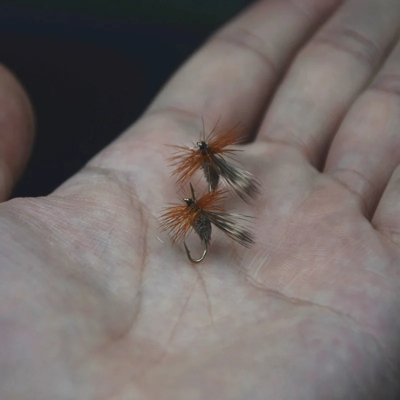 14# Special Dear Hair Sedge Dry Flies For Trout Fishing 5pcs/box Fly Flies Large Sedge Pattern