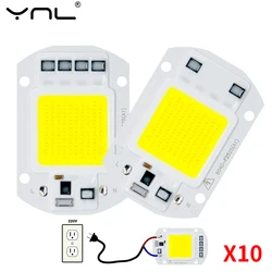 10Pcs/lot COB Chip LED Lamp 10W 20W 30W 50W Smart IC No Need Driver Lampada LED Bulb Lamp For Flood Light Spotlight Diy Lighting