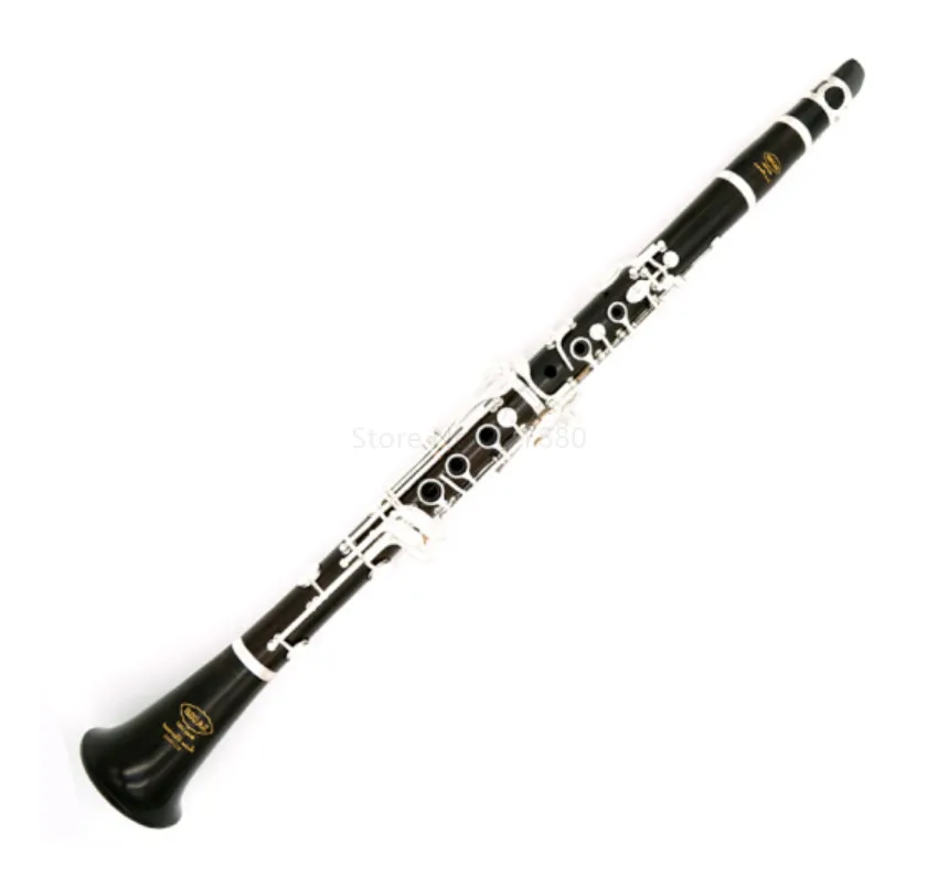 

SADSN SCL-100S 17 Keys Bb Tune Clarinet Bakelite Body Silver Button B Flat Clarinet Beginner Musical Instrument with Case