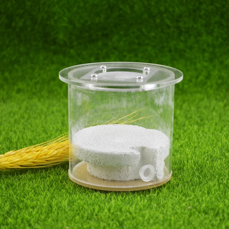 Acrylic Ant Farm Cylindrical Aerated Brick Ant Nest Three-dimensional Nest Anthill 8x8cm