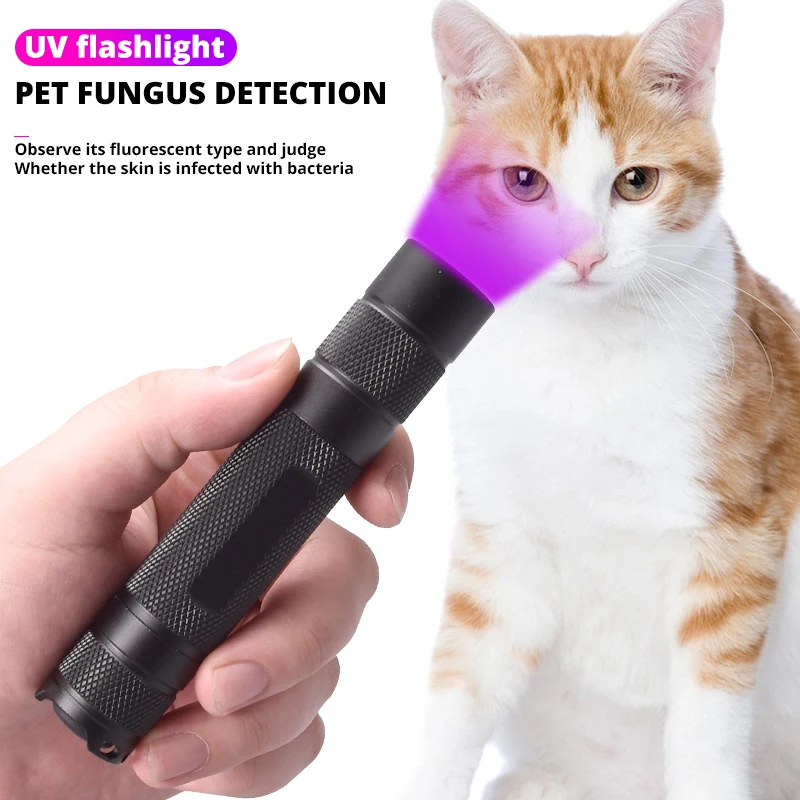 UV Flashlight 365nm Ultra Violets mini Ultraviolet Lanterna IP65 Waterproof Invisible Torch for Pet Stains Use 18650 EDC Light