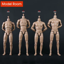 COOMODEL MB001 MB002 MB003 MB004 1/6 Male Soldier Action Figure 2021 New 239/261mm Super Flexible Man Body Fit 1:6 Head Sculpts