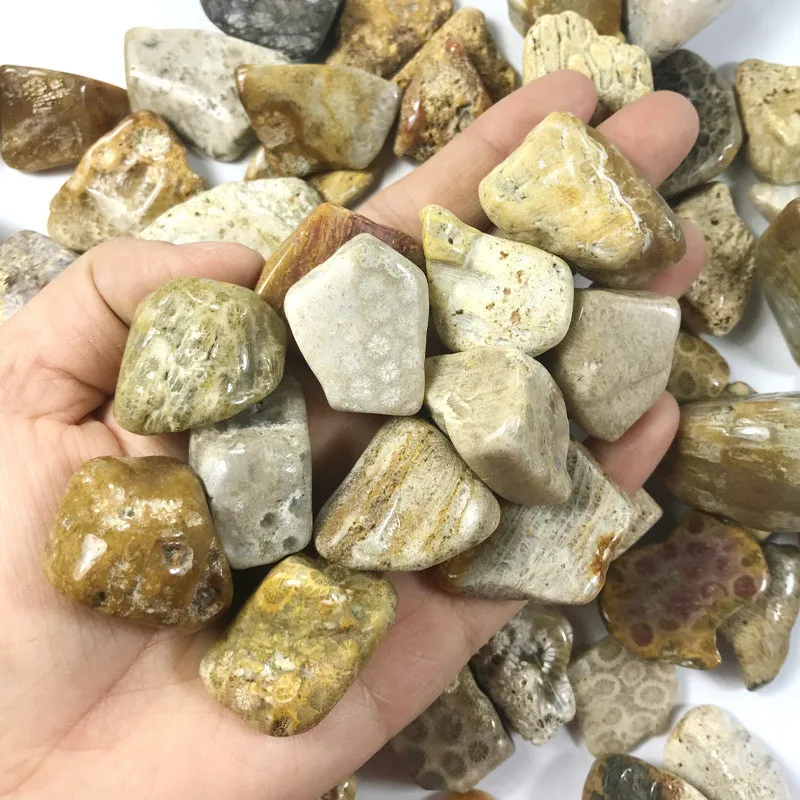 100g 15-40mm natural coral jade stone chrysanthemum stone gravel original stone landscaping decorative stone ornaments ore