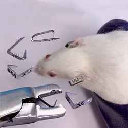 Rat Mice Hamster Mouse Ear Tag 304 Stainless Steel Lab Tools Identification Clamp With Number Letter Forceps