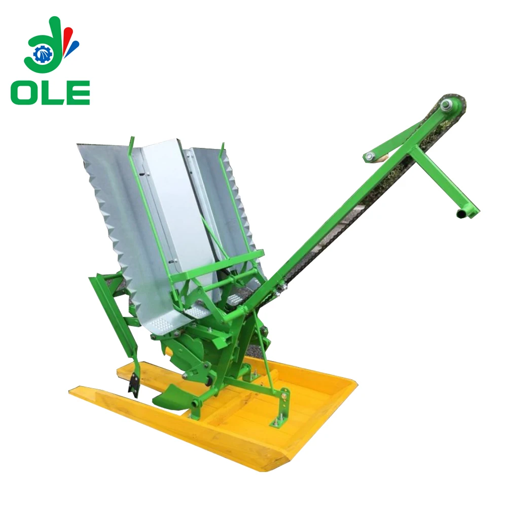 Hand Pushing 2 Rows Rice Transplanting Machine Manual Rice Planter Machine