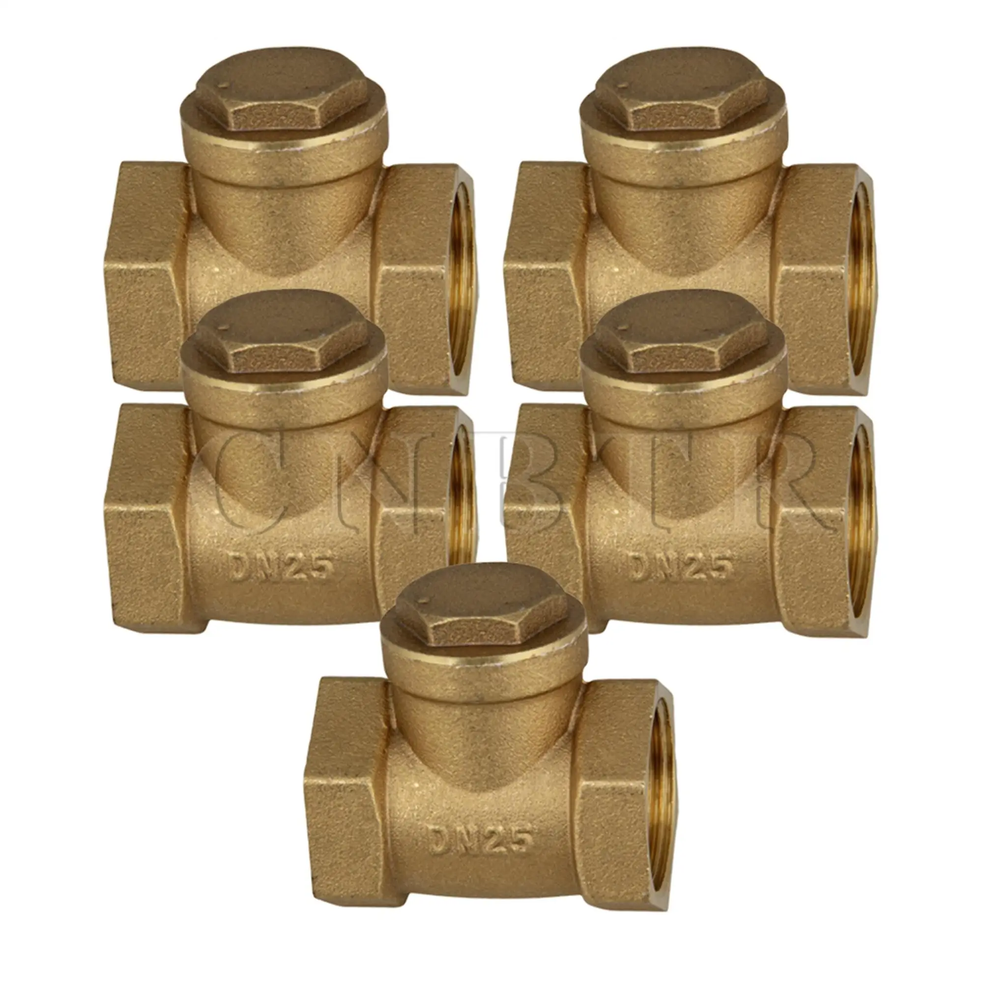 

CNBTR Golden Brass Female 1" BSPP Thread Swing Check Valve High Pressure Pack of 5