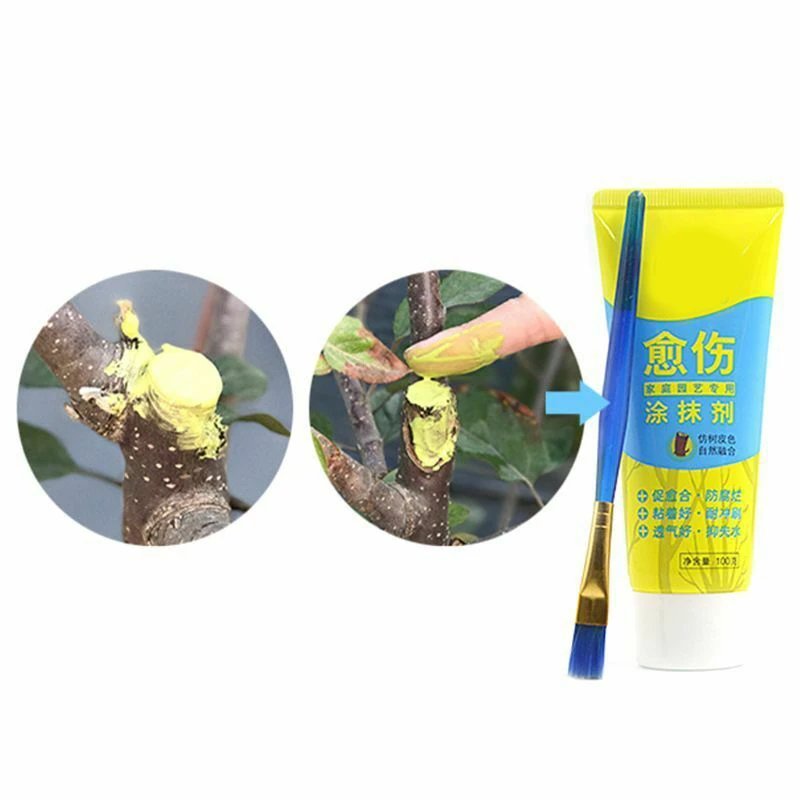 

100g Tree Wound Bonsai Cut Paste Smear Agent Pruning Compound Sealer with Brush Waterproof Sealant Glue Adhesion Promoter 접착제