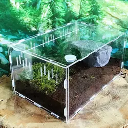 Transparent Large Durable Acrylic Terrarium Reptile Box Pet Supplies For Cold Blooded Animals Reptile Pet Insect Home Decoration