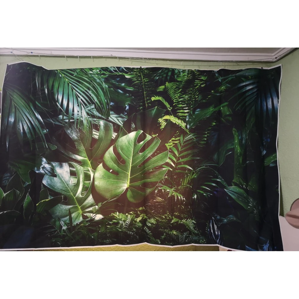 هاواي الاستوائية أوراق النخيل الطفل عيد ميلاد خلفية التصوير الفوتوغرافي إزالة الأعشاب الضارة حفلة التصوير خلفية الصورة استوديو التصوير الدعامة