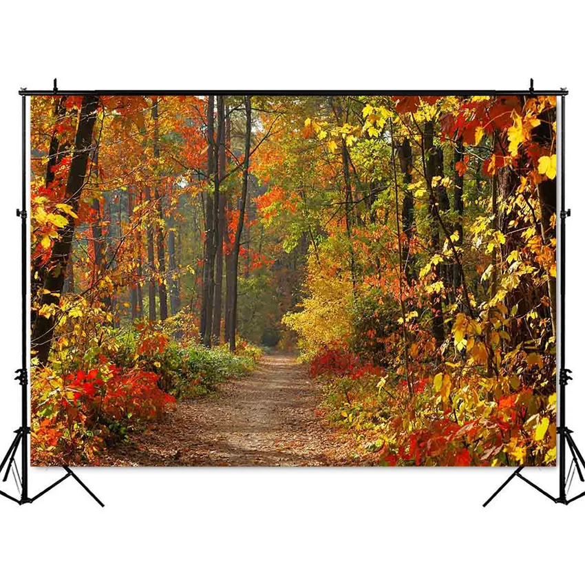 Fondo de fotografía otoño bosque espacio tierra Fondo otoño Hojas de arce camino fondo para estudio fotográfico papel tapiz Póster